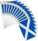Lot de 12 drapeaux écossais à bâton, 14 x 21 cm, drapeaux écossais sur bâtons, mini drapeaux écossais blancs, petits drapeaux écossais à main, drapeau national de la croix de St Andrews, décorations