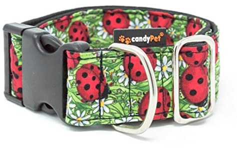 candyPet® Click Dog Collar - Ladybugs