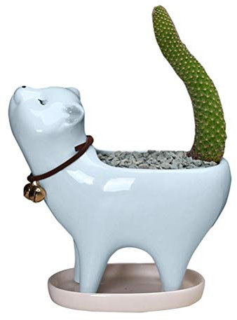 WINBST Vasi In Ceramica,Bellissimo Gatto Coda Cactus Contenitore Con Foro Di Scarico Piante Grasse Decorazione Desktop