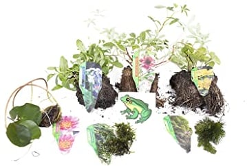 Lincolnshire Pond Plants Ltd Frog Pack - bareroot