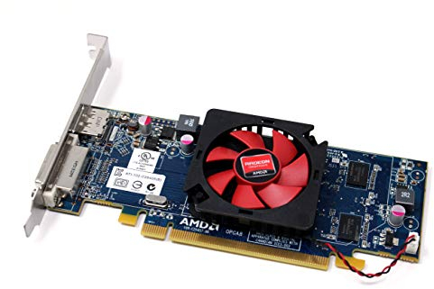Scheda grafica AMD Radeon HD6450 1 GB PCI-E video Full altezza 1 DVI + 1 DisplayPort (DP)