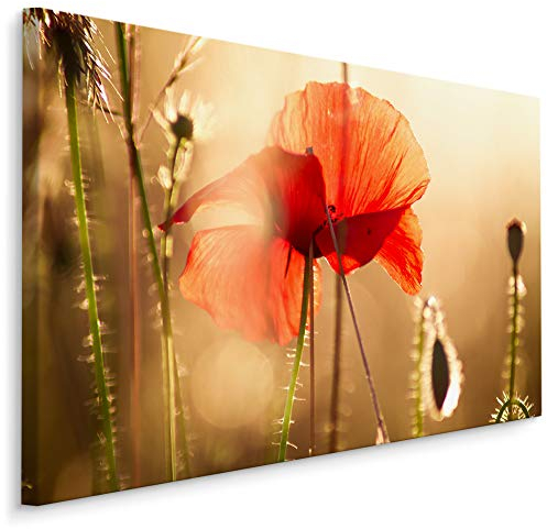 Muralo Wandbilder Blumen 70 x 50cm Bild auf Leinwand Wandbild Kunstdruck Mohnblumen Sonne Leinwandbilder Schlafzimmer Wohnzimmer Wanddekoration Design Wand Bild Natur Landschaft