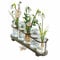 Loberon Vase 5er Set Ranjo, Vintage-Design, Kunstreich Gearbeitetes Gestell, Dekoration, Blumenvase, Tannenholz, Eisen, Glas, braun/klar