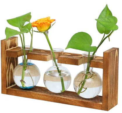 Jarrón Hidropónico de Madera, Jarrón de Tubo Vídrio, Estación de Propagación para Plantas, Jarrones de Plantas Hidropónicas, para Plantas, Decoración del Hogar, Oficina (Jarrón de 3 Focos)