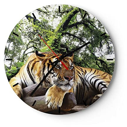 Modern Wanduhr Tiger Dschungel Ruhe 30x30cm Rund Klein Wand Uhr Glas Analog Zimmeruhren Küche Büro Wohnzimmer Glasuhr Wall Clock Dekoration Design Wanddekoration Küchenuhr C3AR30x30-4166