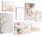 Novart Wandbilder Set Boho Pampasgras Beige - KEIN EXTRA RAHMEN BENÖTIGT - Modern Deko - Wohnzimmer Schlafzimmer Flur N035072a