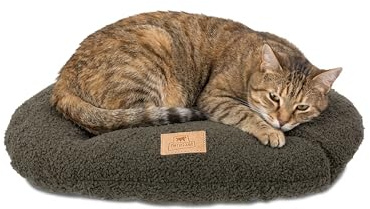 Ferplast Dog Bed Cushion for Small Dogs, Cat Bed, Washable Synthetic Bouclé Fabric, Soft Padding, 55 x 36 xh 3 cm. Green