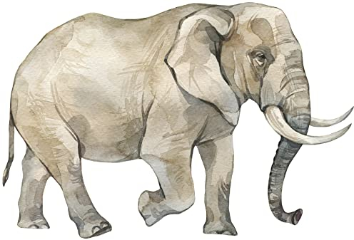Samunshi® Afrikanischer Elefant Aufkleber Autoaufkleber für Motorrad Fahrrad Roller oder Auto Sticker Babyaufkleber Kinderaufkleber - 10x6,7cm mehrfarbig