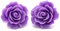 Bluebubble ENGLISH ROSE 22mm Parma Violet Carved Rose CLIP ON Earrings on Gift Card