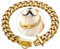 Hundehalsband aus Gold mit Schnalle für sicheres Design, kaufest, Leinenhalsband aus robuster Trainingskette aus rostfreiem Stahl (16'', Gold)