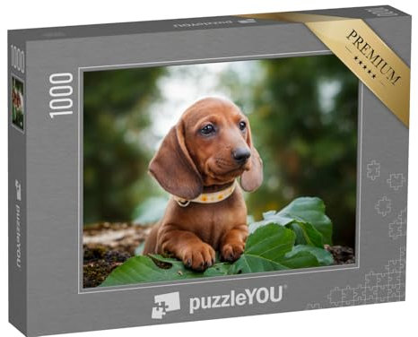 puzzleYOU: Puzzle 1000 Teile „Niedliche Dackelwelpen“ – aus der Puzzle-Kollektion Dackel
