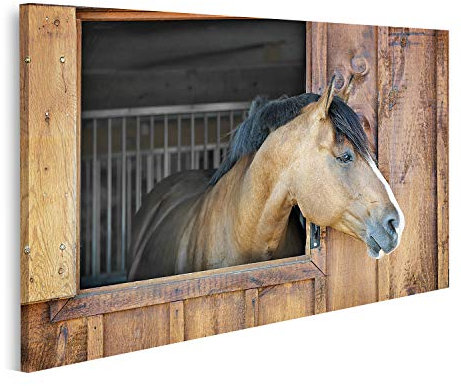 islandburner Bild auf Leinwand Pferdestall Drucke Kunst Poster Wandbild