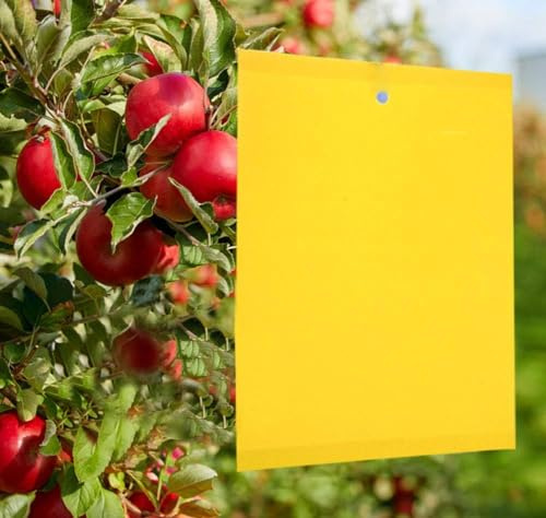 AYIDBE Pièges à Insectes 50pcs Pièges Engluées Colle Double-Face Piège à Mouches Pucerons Jaune Attrape-Insectes de Tueur d'insecte pour Plantes d'intérieur et d'extérieur Fleurs Fruits 15 * 20cm