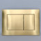 Gold Finish Dual Flush Plate for TECE Cisterns Efficient Toilet Flushing Control Bright Gold & Brushed Gold Options Concealed Design