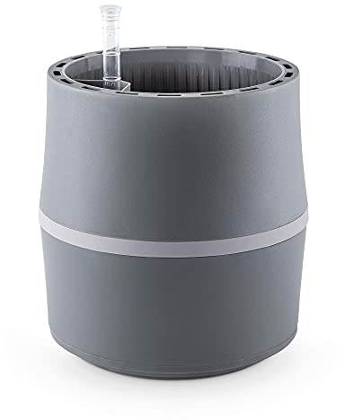 Airy S - Purificatore d'aria per interni, umidificatore naturale e Air Purifier per ambienti sani, sistema di piante brevettato contro l'allergia e l'inquinamento atmosferico, Grigio