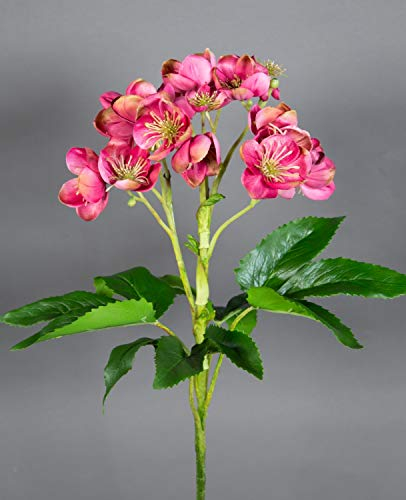 Seidenblumen Roß Christrose Natural 58x45cm pink-rosa GA Kunstblumen künstliche Blumen Pflanzen Helleborus Christrose