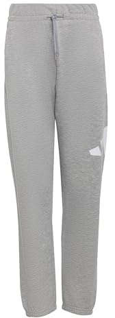 adidas Unisex Kids Essentials Big Logo Pants, Medium Grey Heather/White, 15-16 Years