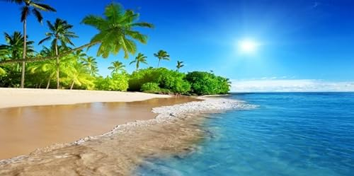 Yeele 6 x 3 m Sommer Tropischer Strand Hintergrund Meer Palmen Blau Meer Himmel Sonne Fotografie Hintergrund Geburtstag Hochzeit Brautdusche Banner Hawaii Pool Party Dekorationen Fotostudio Requisiten