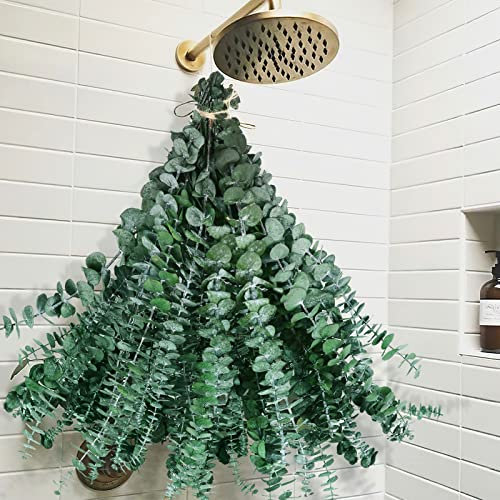 Paquete de 42 piezas de eucalipto seco para ducha, planta grande de tallos de eucalipto preservados de 17 pulgadas, hojas reales para colgar en la ducha, arreglo de flores artificiales, decoración del