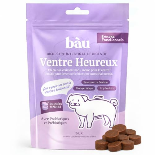 Bàu Snack funcional para perros con probióticos y prebióticos, fermentos lácticos vivos, FOS, inulina, yuca y carbón vegetal, soporte digestión y flora intestinal, suave de pescado
