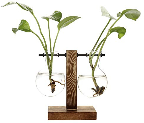 HUIKJI Pflanzen-Anzuchtstation mit Holzständer, Glas-Pflanzen-Terrarium, Blumenzwiebel-Vase, Desktop-Glas-Pflanzgefäß, Hydrokultur-Vasen für Zuhause, Büro, Garten, Hochzeitsdekoration