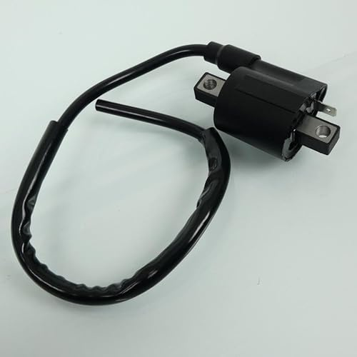 Zündspule ht p2r für Motorrad generic 50 trigger sm nach 2006 neu