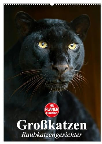 Großkatzen. Raubkatzengesichter (Wandkalender 2026 DIN A2 hoch), CALVENDO Monatskalender: Die unbeschreiblich schönen Gesichter von Großkatzen sind immer wieder ein Freude. (CALVENDO Tiere)