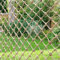 WEIZON Dekor Netz,Kinder sicherheitsnetz,handgewebte Balkontreppen Garten Hanfseilnetz,Fotowand Dekoration,Trennwand Deckennetz,Outdoor-Baumhaus Schutznetz