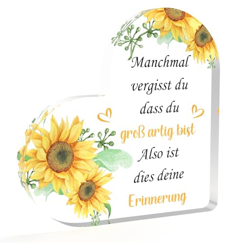 HUHALLI Motivationsgeschenke,Mutmacher Dankeschön Geschenke Frau Kollegen Acryl Geschenk für Beste Freundin Freund Männer Schwester, Adventskalender Füllung
