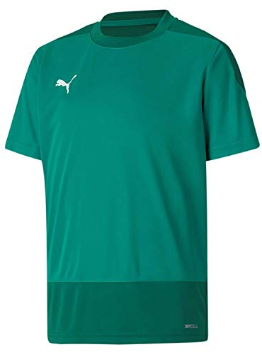 Puma Teamgoal 23 Training Jersey Jr Football Shirt - Pepper Green-Power Green, 128