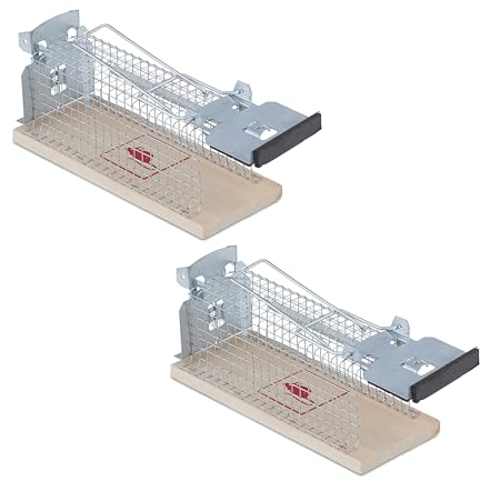 Relaxdays piège à Souris, Lot de 2, sans Tuer, Attrape-Souris, Cage Rats, HLP : 7x16x6,5 cm, souricière, Nature/argenté