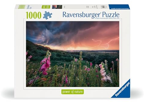 Ravensburger Puzzle 12000793 - EIN Sturm zieht auf - 1000 Teile Puzzle für Erwachsene und Kinder ab 14 Jahren,