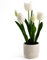 Kunst-Pflanze Tulpen weiß 37cm im Keramik Topf künstliche Deko Tulpe Kunstblume wie echt