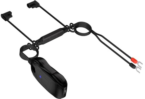 Qsvbeeqj Chargeur de batterie 6 V 12 V adaptateur de charge avec lumière LED 30 W USB câble de charge de batterie