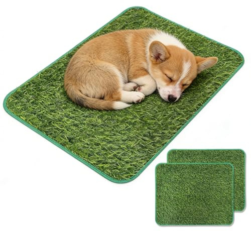 Inodoro para Perros 2 Piezas césped Artificial 58,5x46cm Drenaje rápido, césped Perro Pipi Enrollable Lavable pipican para Perros en casa balcón | Drenaje rápido del agua, fácil de lavar, adecuado para casa y balcón para educar al baño