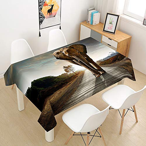 Oduo Tischdecke Wasserdicht Polyester Rechteckig, Tischdecke mit Elefantendruck Pflegeleicht Fleckschutz Ölfest Abwaschbar Outdoor Garten Deko Farbe & Größe Wählbar (3D Grauer Elefant,90x90cm)