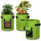 Froadp 38L Pflanzenwachstumstaschen Set 10 Gallonen Kartoffeln Pflanzsack mit Klettverschluss Fenster & Griff Filzstoff Pflanztasche Pflanztopf für Blumen Kartoffeln Pflanzen Gemüse (Grün, 3 Stück)