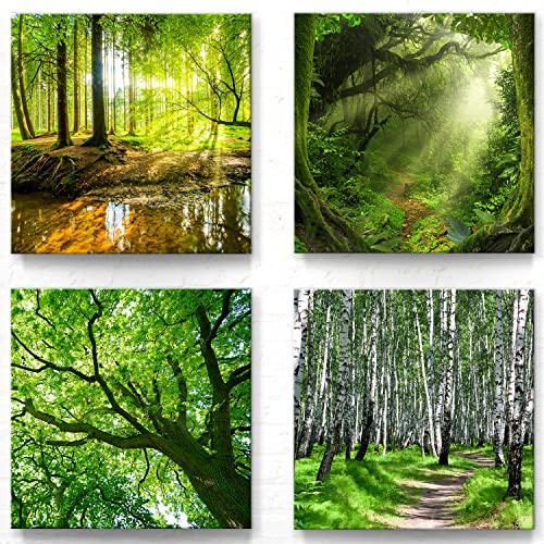 Wald und Bäume Motive als Leinwand-Bilder Deko - jedes Bild ist 50x50cm groß - 4-teiliges Landschaftsbilder Set, aufhängefertige moderne Naturbilder für Wohnzimmer Schlafzimmer Set-A, Grün