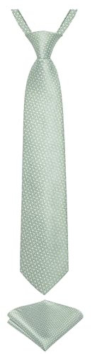 DiBanGu Corbata preatada para niños de seda y pañuelo de bolsillo para niños de 7 a 15 años, Verde Salvia, Taille unique
