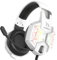 YINSAN Gaming Headset with Mic for PS4 PS5 Xbox Series X|S Nintendo Switch Xbox One PC, Wired Over Ear Gaming Headphones with Surround Sound Noise Cancelling Microphone & One-key Mute Button (White)
