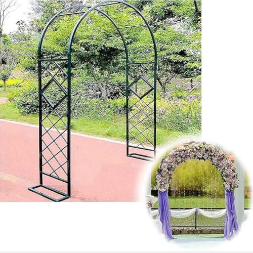 Treillis d'arche de jardin solide pour plantes grimpantes - Pergola en métal robuste avec revêtement en poudre - Idéal pour rosiers et vignes - Noir - 340 x 230 cm