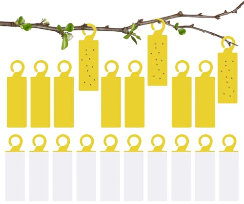 Fruchtfliegen Klebefallen Für Den Innenbereich,20 Stück Klebefallen Für Die Küche - Doppelseitige Fruchtfliegenfalle Für Innenbereich | Für Außenbereich Küche Garten Pflanzen Und