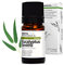 Aroma Labs - Eucalipto Smithii - Aceite Esencial Orgánico - Quimiotipado y Certificado AB - 5 mL