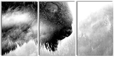 Pixxprint Wildes Bison in nebeligem Wald, Monochrome, XXL Leinwandbild in Übergröße 240x120cm Gesamtmaß 3 teilig, Wandbild, Kunstdruck