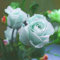 AchidistviQ 100 Piezas De Semillas De Rosas Raras Verdes 100 Piezas De Fragancias Semillas De Flores De Rosas Perennes Semillas De Plantas Bonsai Semillas de rosa azul