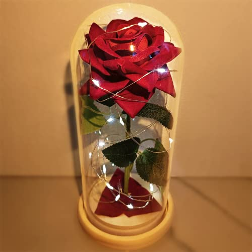 Bella e la Bestia, Rosa Stabilizzata Eterna in Vetro, Fiori Artificiali Realistici, Regalo per Donna Anniversario,Fidanzata,Festa della Mamma,Fiore Infinita Immortale,Regali Lei Amica Mamma Idea Donne