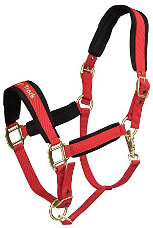 Back on Track Halfter für Pferde Werano