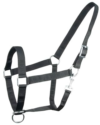 Brama West Halfter für Pferde Kaltblut | Halfter XFull XXFul XXXFull | sehr robust & reisfest | verstellbar | Stallhalfter | Schwarz, XFull