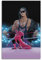 KSOXDAITIP Bret Hitman Hart Kunst-Poster, dekoratives Gemälde, Leinwand, Wandposter und Kunstdruck, moderne Familienschlafzimmer-Dekoration, Poster, 20 x 30 cm