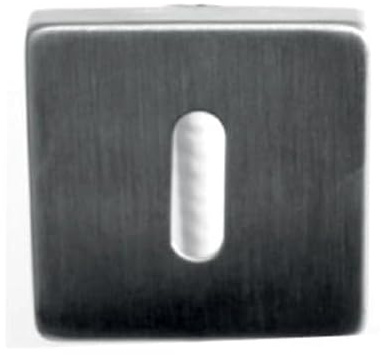 Klose Besser Paire de Rosace carrées INOX 304 53 x 53 mm-clé L-652